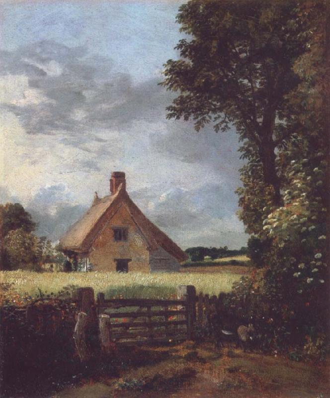John Constable A cottage in a cornfield oil painting image